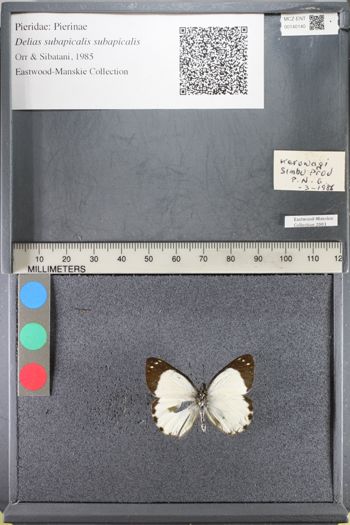 Media type: image;   Entomology 140140